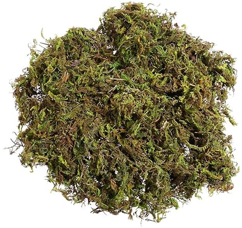 BESPORTBLE Artificial Moss - Green Fake Moss Decorative Fake Bulk Moss for Flower Plant Garden Lawn Crafts Decoration 60g/Pack