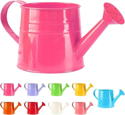 Petite arrosoir pour plantes d'intérieur 1L - Petite arrosoir en métal - Pot à fleurs - Arrosoir de jardin - Arrosoir vintage - Arrosoir pour plantes - Outil de jardin (1 pièce/Rose vif)