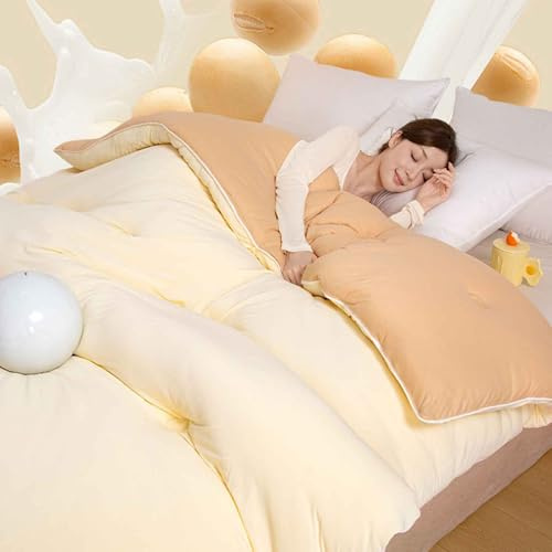 HLTQL Trapunta Invernale in Fibra di Soia, Piumone Invernale Spesso, Coperta Molto Calda E Super Morbida per 2 Persone, Trapunta in Microfibra, Piumone Trapuntato Reversibile(B,200 * 230cm/3.25kg)