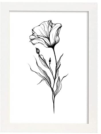 Nacnic Ortensia Illustrazione di poster botanico piante di fiori bianco e nero Linea minimalista nordica Stampe per camera dei bambini interior design Modello 3 A3 con cornici in legno chiaro