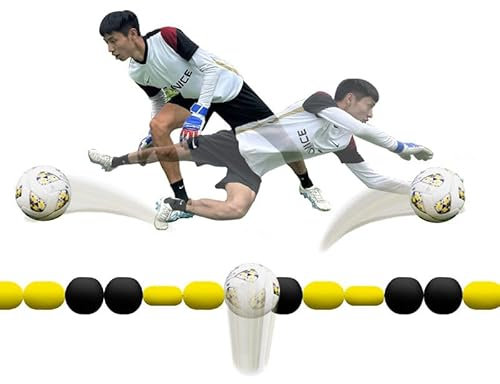 CYTBEK Einzeiliger Deflektor, 2,75 m Lange Torwart-Ablenkungsausrüstung, Reflex- und Beweglichkeitstraining, anwendbares Tor-Futsal-/Sevens-Fußballtor, Verbesserung der Fußballfähigkeiten