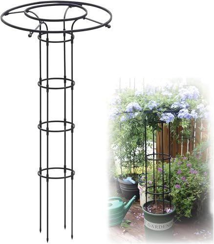 Rankgitter für Ranken und Pflanzen, rostfreier vertikaler Schirmstützkäfig für Kletterrosen und Glyzinien, Outdoor-Blumenkletterständer