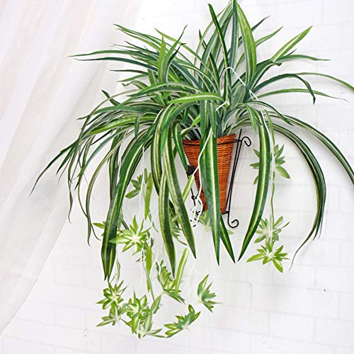 KFZR Artificial Spider Plant Faux Greenery Chlorophytum Comosum Home Hotel Décor Silk 5 Branches,35 Leaves,12 Flowers,60cm Long Without Hanging Basket Pack of 3 (Spider Plant)