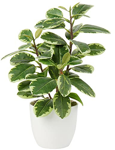 Briful Camellia Artificial Plant Fake Plant in Pot Faux Camellia Plants Artificial Potted Plants for Home Decor, 11/28cm Faux Green Plants Camellia Bonsai for Living Room Shelf Desk Decor