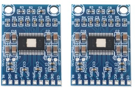 Create idea 2Pcs TPA3116D2 Verstärker Bord XH-M562 Digital Audio Verstärker 2x50W Dual Channel für Lautsprecher