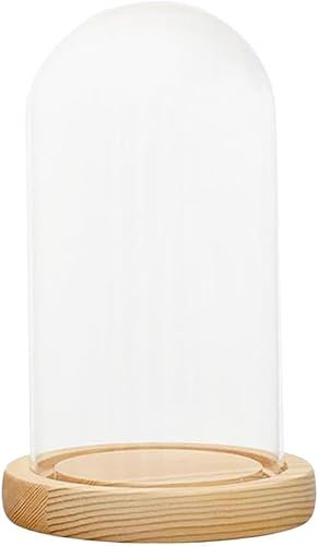 Tarro de campana de cristal con base de madera, 12 x 18 cm, vitrina transparente para flores, velas y coleccionables, regalo ideal para inauguración de la casa (12 x 21 cm)