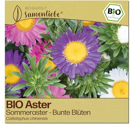 Samenliebe BIO Aster Samen | Sommeraster - bunte Blumenmischung - samenfestes BIO Saatgut