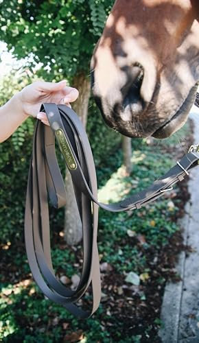 Kentucky Horsewear - Halfter - Hengstpräsentationsleine braun 4m