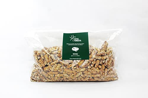 HIFAS - Setas Autocultivo - Autocultivo de Seta Shiitake sobre Troncos de Madera, Perfecto para el Cultivo de Setas en casa o para el Huerto, Mushroom Growing (1000 Uds)