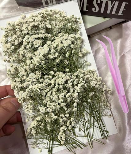 130PCS Dried Pressed Baby's Breath Flowers, Real Nature Dried Mini White Gypsophila Flowers for Resin Art Craft DIY Making Wedding Card Home Party Decor
