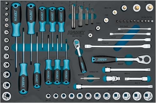 HAZET Steckschlüssel Satz 75-teilig 163-53/75N, 10–22 mm, E4–E24, T6–T60, Innen-/Außen-TORX, Tamper Resistant TORX, inkl. Doppel-Ringschlüssel, Umschaltknarren und Bits