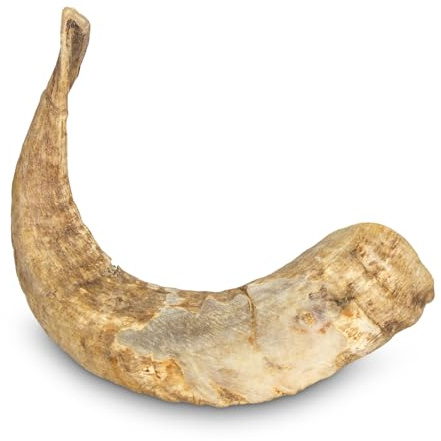 Kauspielzeug für Hunde aus Widderhorn, Größe M (<200 g)