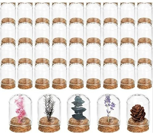 ZYAYNG Mini bocaux à Cloche en Verre avec couvercles liège, conteneurs d'exposition dôme for la décoration de Maison, Pot Mariage/fête 50 pièces pour Présentation