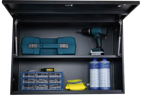PROREGAL Werkzeugschrank Elephant Metall hängend abschließbar Wandschrank 55x80x40cm 2 Ebenen Stahl mit Pulverbeschichtung Schwarz Hängeschrank 40cm tief Werkstattschrank Wand Stahlschrank