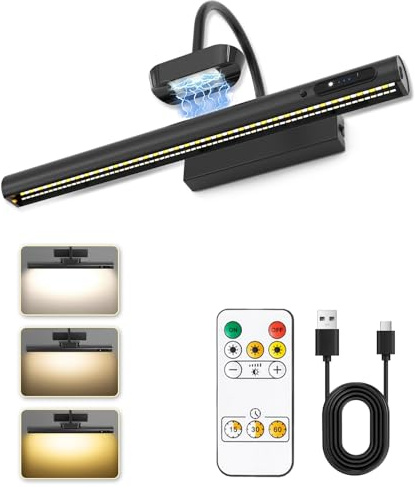 Bildbeleuchtung Kabellos,Wandleuchte Innen Akku LED mit Fernbedienung & Timer,3 Farbtemperaturen,und Einstellbarer Helligkeit,4000mAh,Magnetische Bilderleuchte Kabellos für Gemälde,Foto,Wanddekoration
