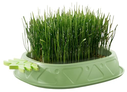 Pot de fleurs pour chat d'intérieur - Kit de culture sans sol - Motif ananas - Plateau de germination de plantes - Pot de culture d'herbe de blé - Plante pour chat d'intérieur