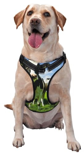 Manger des Vaches dans Les pâturages d'été,Harnais pour Animaux de Compagnie, Harnais réfléchissant réglable pour Chien,S