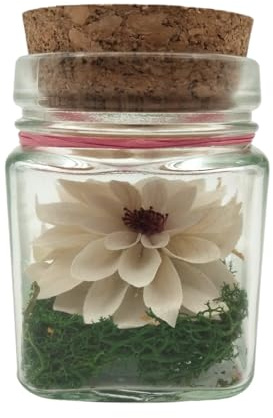 Stabilisierte Dahlie im Glaseimer mit Kork, konservierte Blume. Stabilisierte natürliche weiße Dahlie.