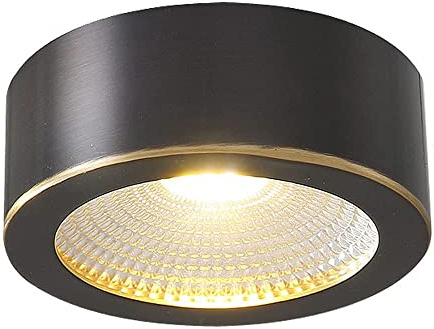 DJVHSRI Spotlight,Led Surface Mounted Spotlight, Modern Accent Spot Lighting Indoor Spotlights, Copper Ceiling Mount Light Fixtures for Living Room Corridor Aisle Gallery Picture,3000k-3w
