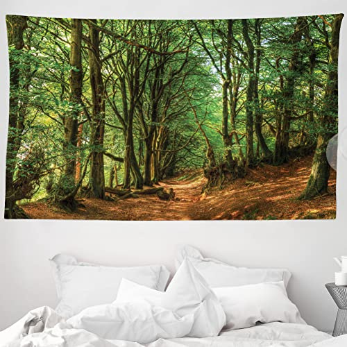 ABAKUHAUS Wald Wandteppich und Tagesdecke, Wald Pathway Szene aus Weiches Mikrofaser Stoff Waschbar ohne Verblassen Digitaldruck, 230 x 140 cm, Grün braun