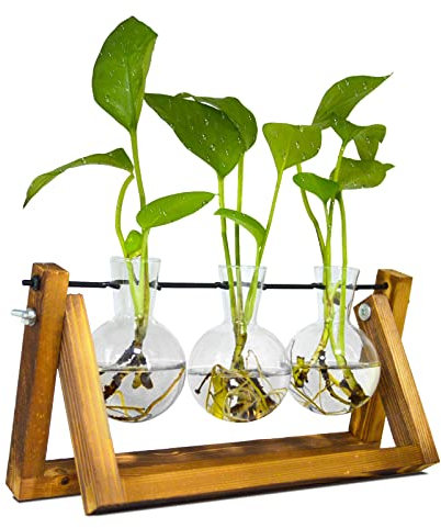 Propagation Station for Plants, Terrarium for Hydroponic Plants, Plant Terrarium with Wooden Stand Personalized Gifts for Mum, Women, Valentines Day, Birthday, Christmas, Mothers Day(3 Bulb Vase)