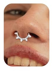 BodyBonita 16G Septum Piercing Schmuck – 316L Edelstahl Nasenring Nasenpiercing mit Zirkonia für Frauen Männer Conch Helix Piercings Tragus Daith Knorpel Ohrpiercing 14 Karat Gold/Silber 8 mm/10 mm
