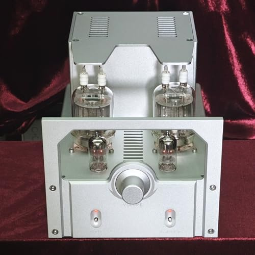 Amplificatore a Valvole, Ibrido Integrato Da 10 W X 2, Con Modulo Ricevitore Bluetooth 5.0, Doppi Ingressi Stereo RCA, Manopole Separate Per Alti E Bassi, Per Telefoni, Tablet, TV E Lettori CD