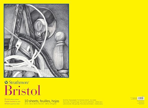 Strathmore Bristol Pergamentblock für Künstler und Studenten, 55,9 x 76,2 cm, 10 Blatt zum Zeichnen, Skizzieren und Drucken