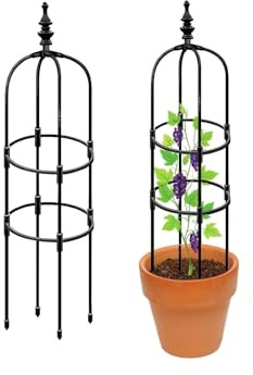 Enrejado de obelisco de metal negro de 25 x 180 cm, soporte para plantas trepadoras de jardín, torre rosal para uso en interiores y exteriores, perfecto para vides y flores