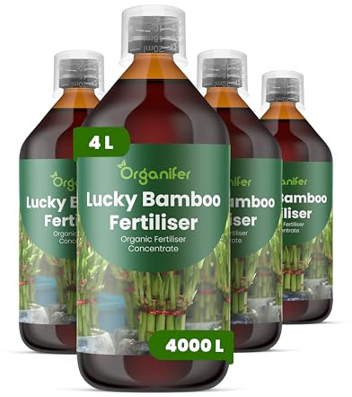 Engrais liquide organique 4x1L pour Bambou chanceux – feuilles luxuriantes et racines saines – Organifer