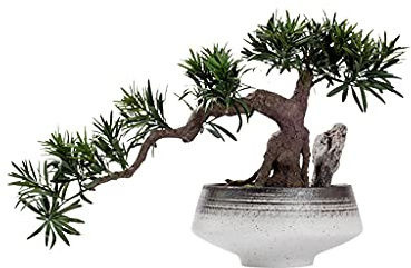 Konstgjorda träd Konstgjorda bonsaiträd Falska träd Konstgräs Natursten Keramik Blomkruka Konstgjorda gröna växter Vardagsrum Hemmakontor Dekoration Krukväxter