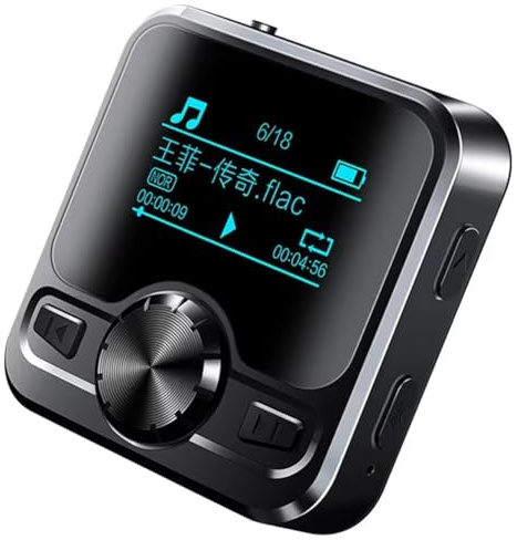 Jnchdghwa Lettore MP3 Portatile Multifunzione Bluetooth HD Mini Registratore Vocale Radio FM Dispositivo di Registrazione Audio Funzione Professionale