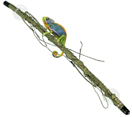 Rrlihjgu GECKO CLARMING GIOCHIO, ramo di arrampicata da rettile | Coppa di aspirazione ramo angolare Terrarium | Accessori del carro armato, forniture di divertenti per camaleonti, rane