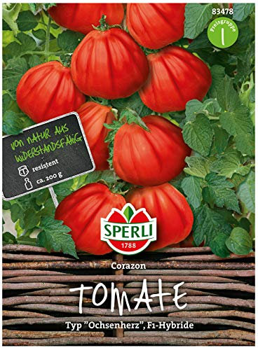 Sperli Premium Tomaten Samen Corazon ; aromatische Fleischtomate Typ Ochsenherz ; Fleischtomaten Saatgut