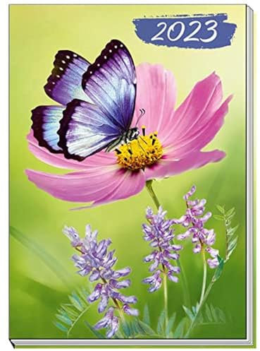 Trötsch Taschenkalender A7 Schmetterling 2024: Mini-Terminkalender (Notizkalender)