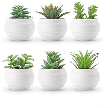 TONIXY Lot de 6 plantes succulentes artificielles dans des pots décoratifs réalistes pour la maison, le bureau, la salle de bain, la cuisine