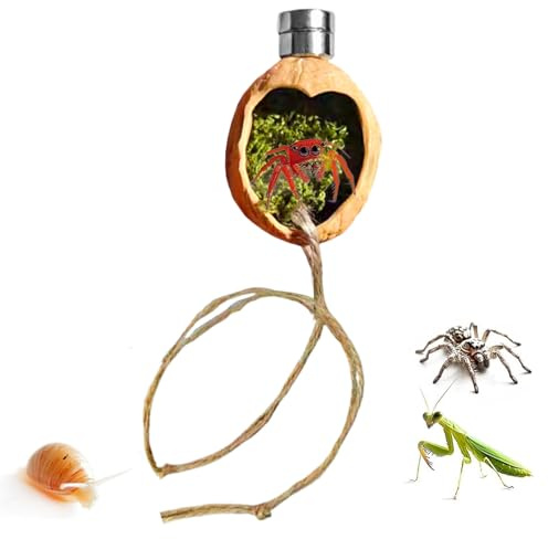 Kixolazr Accessoires pour Enclos d'Araignées Sauteuses - Cage d'Habitat en Noyer Magnétique,Décoration De Terrarium pour Araignées Sauteuses avec Corde - pour L Élevage en Terrarium De Geckos