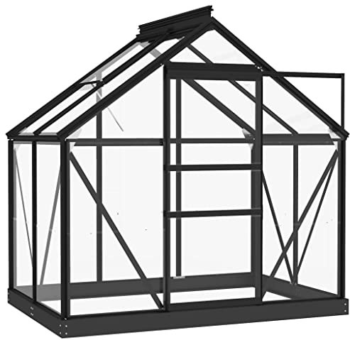 HXZZXS Serra da Giardino Antracite 155x103x191 cm Alluminio e Acciaio e Vetro Greenhouse Serra Robusta Serra in Metallo Serretta per Piante Serra da Esterno Serre da Orto Serra per Pomodori
