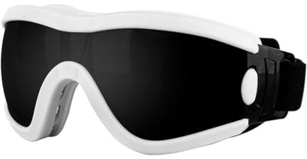 TIANQUXNGI Modische Schutzbrille für kleine und lange Hunde, mit verstellbarem Riemen