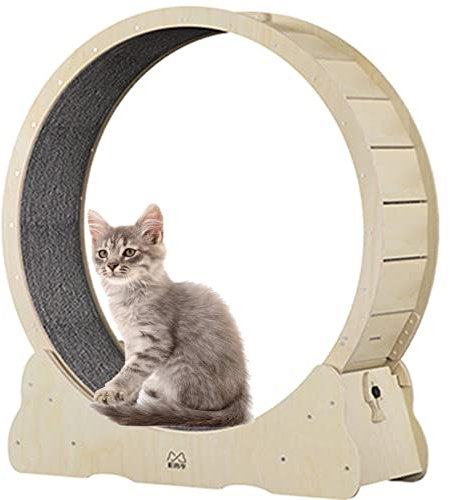 BLANKX Katzenlaufrad für Wohnungskatzen, Leises Kleines Mittelgroßes Laufrad für Katzen, Kleine Lücke Haustier Katze Laufrad Spielzeug mit Bremse,L-Woodcolor