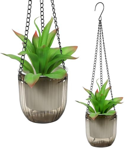 HEMOTON 2 Piezas Macetas Colgantes con Autorriego para Interior y Exterior Cestas Colgantes para Plantas de Interior Maceta Transparente