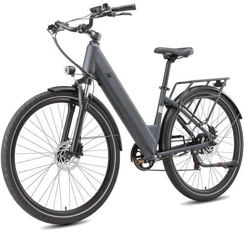 Sinaopus Elektrofahrrad für Erwachsene, 28 Zoll E-Bike mit 48V 250W Reichweite 140 km, Trekking Bike 25 km/h