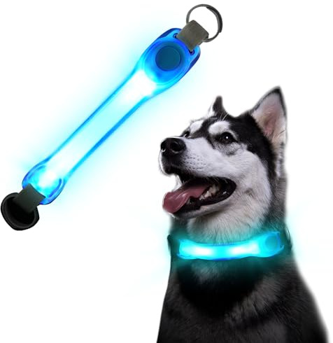 Lys upp hundhalsband, silikon LED valphalsband blinkande LED-ljus, reflekterande hundvalp LED-krage säkerhetsvarning för katter och små hundar nattpromenader – blå
