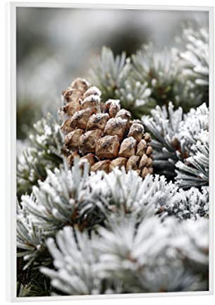 artboxONE Poster mit weißem Rahmen 18x13 cm Natur Winterlandschaft mit Tannenzapfen - Bild Winter beige Eiskristalle