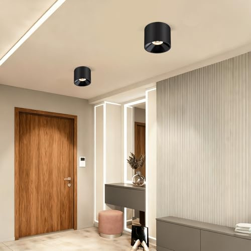 Flush Mount Dimmable Ceiling Light, Modern Close to Ceiling Light Fixtures for Hallway, Closet, LED 3CCT 2700K-6000K Cylinder Ceiling Light Spot Lights for Living Room Kitchen Entryway Foyer, Black