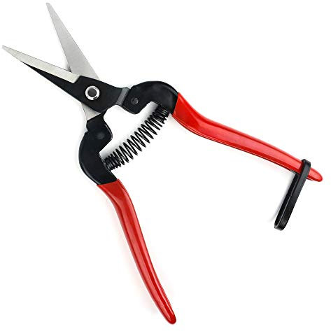FLORA GUARD Pruning Shears, Micro-Tip Pruning Snip Straight Garden Scissors Florist Scissor with Carbon Steel Blades for Arranging Flowers, Trimming Plants