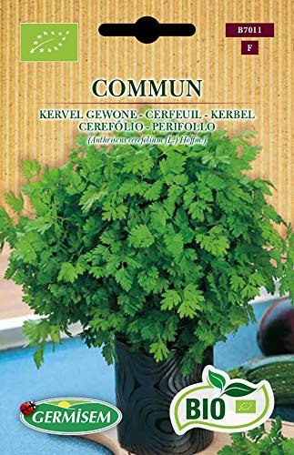 Germisem Biologico Commum Semi di Cerfoglio 5 g
