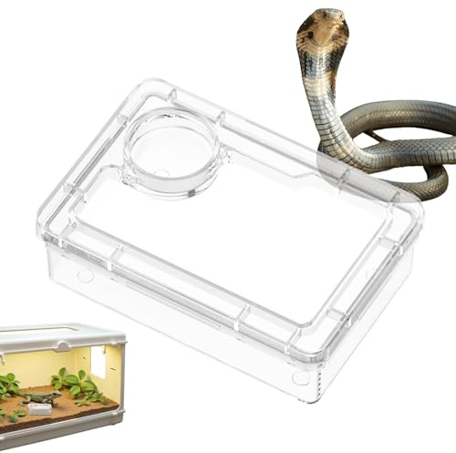 Chamäleon-Futterspender Bartdrachen Wasserschale Kleintier-Futterspender für Spinne Schildkröte Käfig Tank Chamäleon Lebensraum Terrarium Schlange