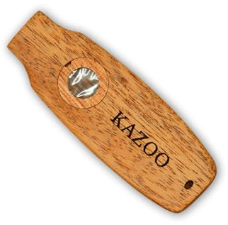 Premium Kazoo aus Massivholz – 3 Designs mit 10 Membranen + Tragetasche & Halsband (Perfekter Begleiter für Ukulele, Gitarre und Gesang) (Oval)