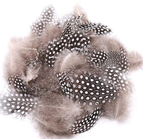 100 Stück Natürliche Perlenhuhn Feder zum Basteln,Naturfedern Hühnerfeder Kopfschmucksfedern für DIY Kunstwerk Ohrring Traumfänger Maniküre Falsche Wimpern Hüte Masken Haarschmucken,Natürliche Farbe